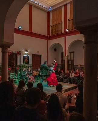 라 카사 델 플라멩코 - 알칸타라 공연장(라 카사 델 플라멩코 - 아우디토리오 알칸타라)